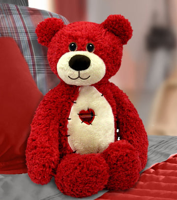 First & Main Red Tender Teddy Plush Toy, Multi