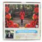 Forest Walk By Debbie Macomber 1000 Piece Puzzle