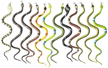 Rhode Island Novelty 14' Rain Forest Snakes | Assorted Designs | Set Of 12
