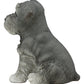Ebros Realistic Miniature Schnauzer Puppy Statue 5.75' Tall Animal Dog Collectible Lifelike Schnauzer Figurine Decor