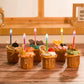 Colorflame Multicolor Birthday Candles (12 Pack) - Unscented Wax Holders for Celebrations