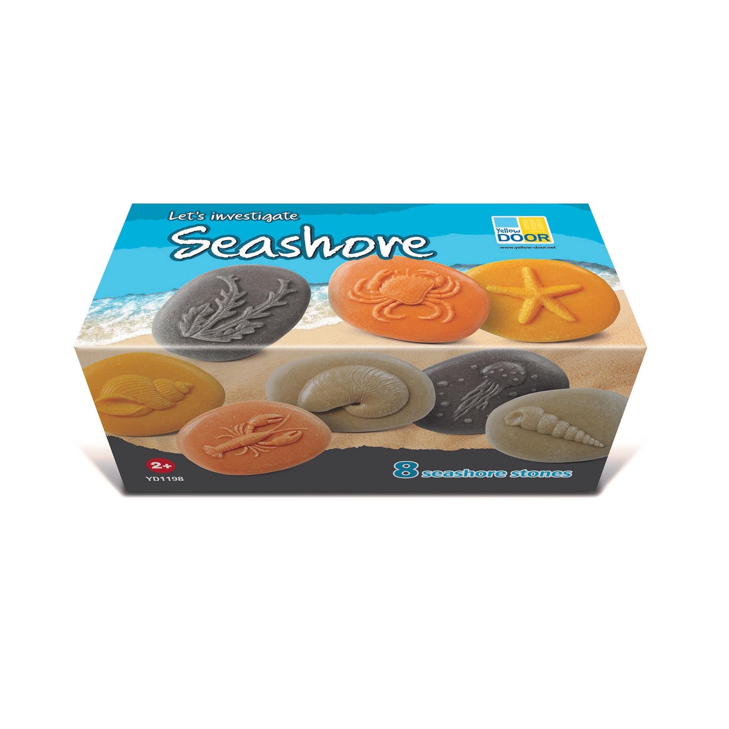 Lets Investigate  Seashore, Set of 8 Stone Figures