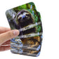 Menique Memory Matching Game, Wild Animals, Cardboard, Multicolor