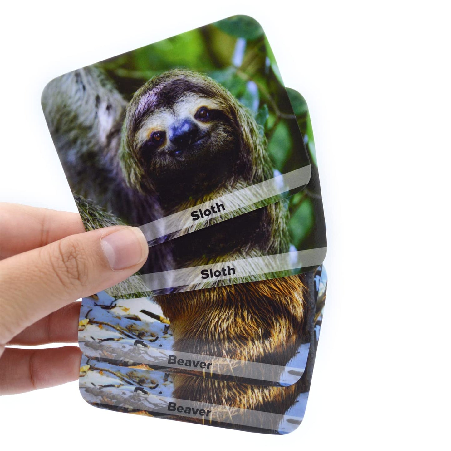 Menique Memory Matching Game, Wild Animals, Cardboard, Multicolor