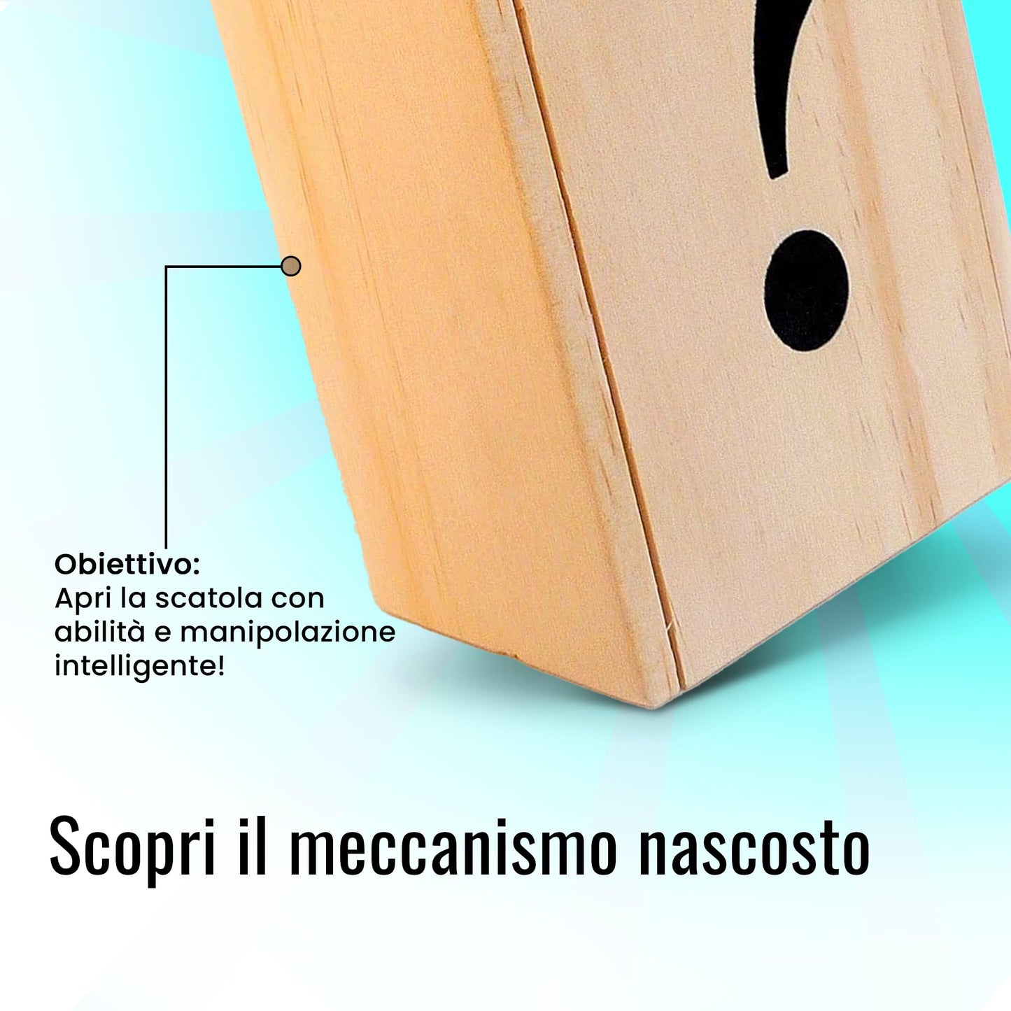 Logica Puzzles Art. The Chest ? - Secret Box - Difficulty 5/6 Incredible - Leonardo da Vinci Collection