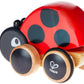 Ladybug Pull Along
