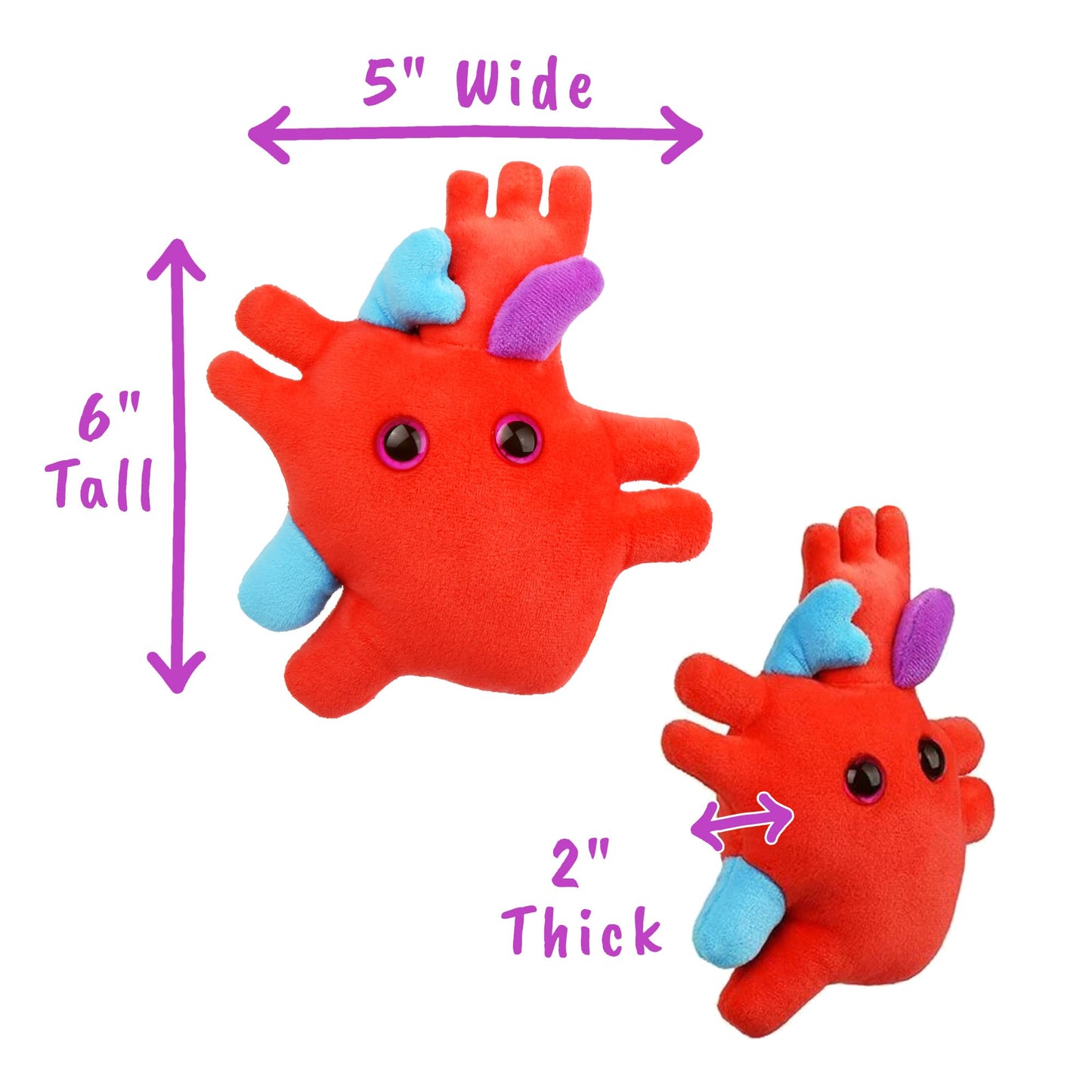 GIANTmicrobes Heart Plush Stuffed Animal, Medium Red Anatomical Heart Toy, Model GM052, Perfect Gift for Cardiologists and Heart Surgery Survivors