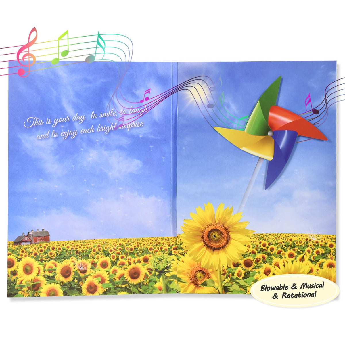 Viviken Musical Birthday Card