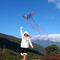 Kites for Kids & Adults, Beach Kites Set for Beginners, Easy to Fly for Boys and Girls, 300ft Kite String Included, Perfect for