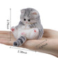 Taba Squishy Cat Kit - Soft Silicone Fat Kitty Toys For Kids Party Favors (Gray)