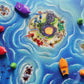 FoxMind Bermuda Pirates Magnetic Board Game for Kids, Plastic, Mixed Colours, Model: FOX-BP-ENG, Family Fun Adventure