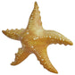 Jet Creations Inflatable Animals 20 Inch Wide Pack Of 4 Star Fish Party Pool Supplies Favors Birthday Gifts For Kids An-Star4, M