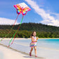 HENGDA KITE 2 Pack Butterfly Kite,for Kids and Adults,Easy to Fly,Excellent Fabric and Structure Design,The Pictures are Beautif