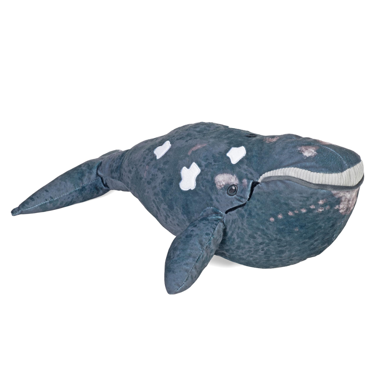 Wild Republic Cuddlekins Eco Northern Right Whale, Stuffed Animal, 17 Inches, Plush Toy, EcoFriendly