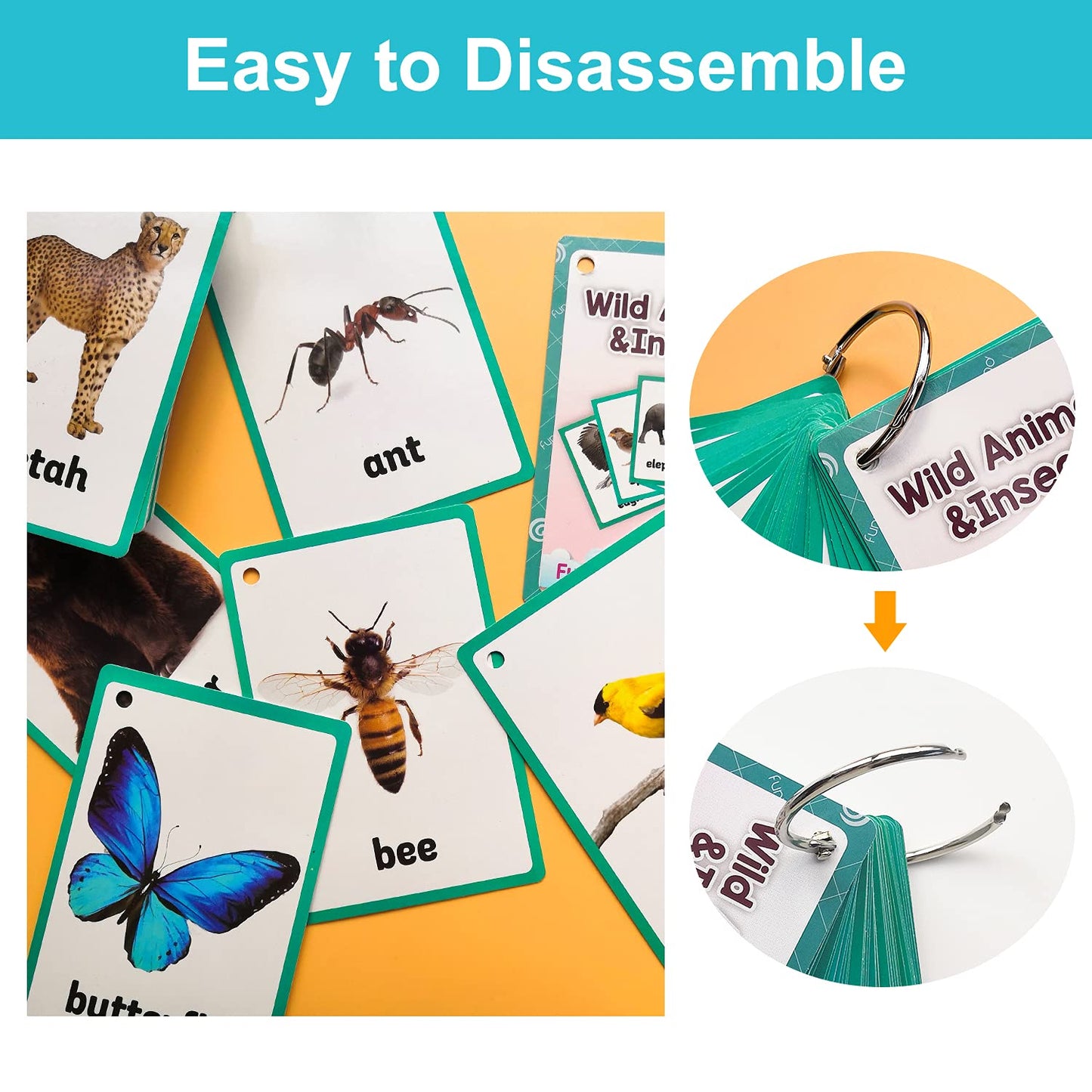 Lilias Wild Animals & Insects Flash Cards, Toddler Learning Toys, Preschool Learning Toys, Homeschool Supplies, Learning Supplies For Kindergarten, 4.3 X 3.14 Inch, 48 Cards In Set