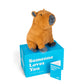 send a friend Crouton The Capybara Stuffed Animal Care Package  Someone Loves You Box  Great Gift for Any Reason (Love You Notecard)