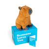 send a friend Crouton The Capybara Stuffed Animal Care Package  Someone Loves You Box  Great Gift for Any Reason (Birthday Notecard)