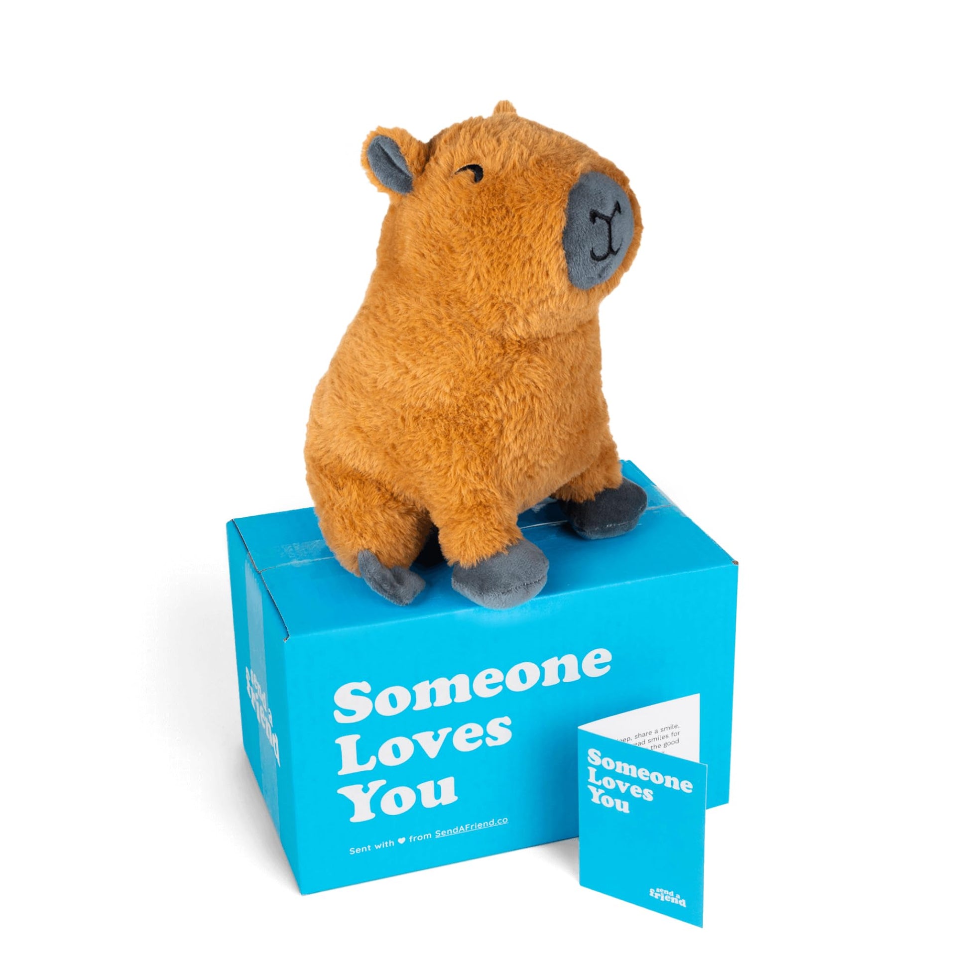 send a friend Crouton The Capybara Stuffed Animal Care Package  Someone Loves You Box  Great Gift for Any Reason (Birthday Notecard)