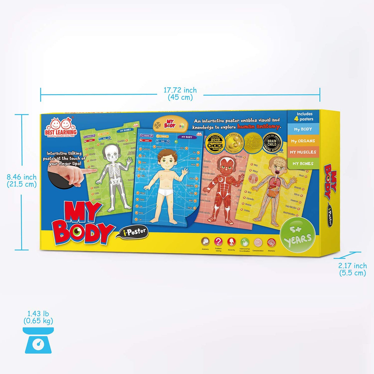 Human Anatomy I-Poster