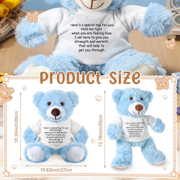 Lenwen A Bear Hug Gift Get Well Soon Bear Gift Sympathy Gift For Women Plush Stuffed Animal Bear Hug Thinking Of You Gift Condolences Memorial Loved(Blue)