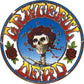 C&D Visionary Grateful Dead Skull and Roses Sticker - Multicolour, Paper, Model S-3015