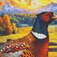 Springbok 500 Piece Jigsaw Puzzle - Golden Fields Pheasant in Fall Scene - Unique Cut Cardboard - 18x23.5 inches - Model 33-01773