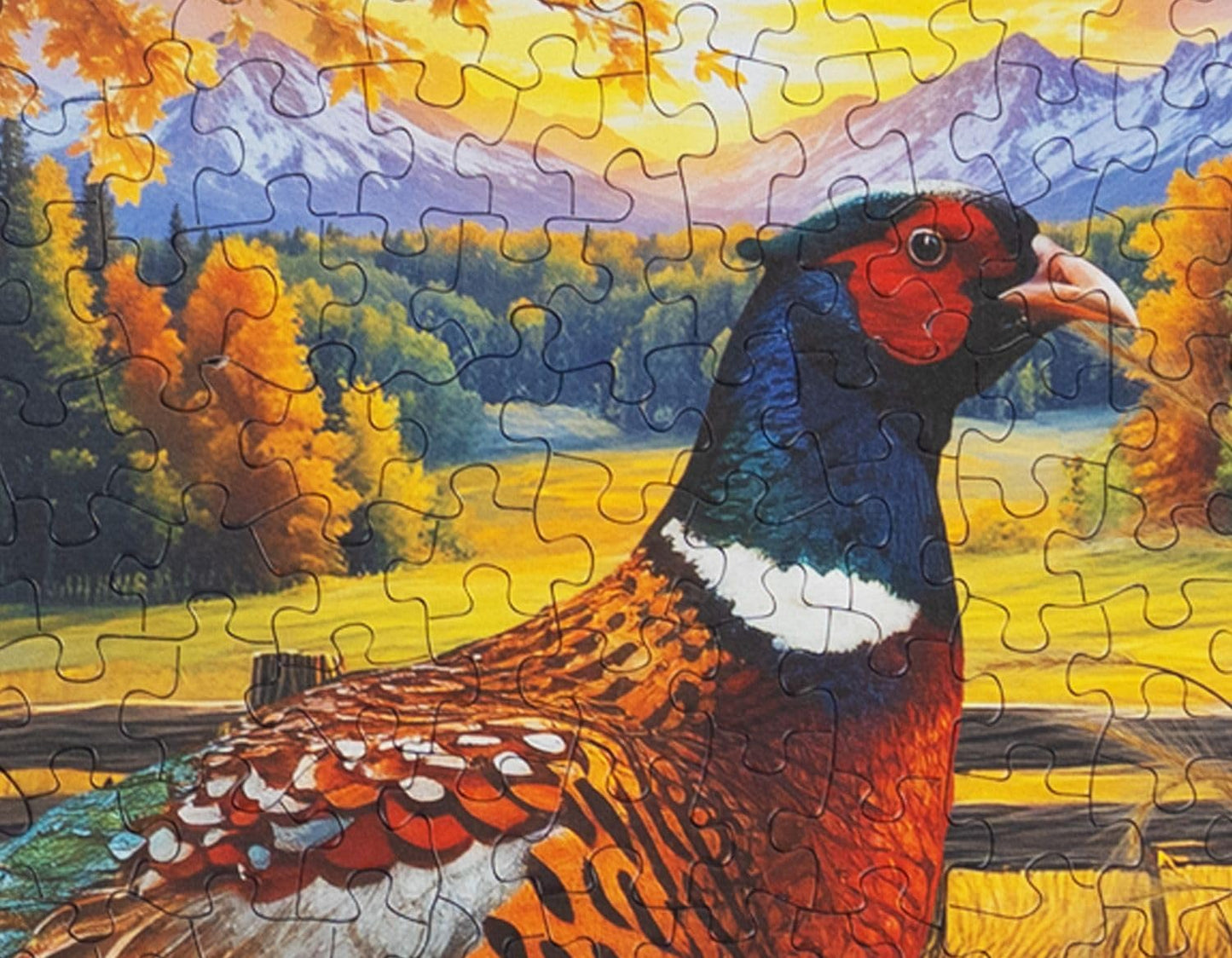 Springbok 500 Piece Jigsaw Puzzle - Golden Fields Pheasant in Fall Scene - Unique Cut Cardboard - 18x23.5 inches - Model 33-01773