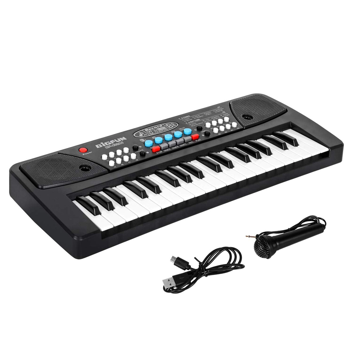 Portable Electronic Piano Keyboard