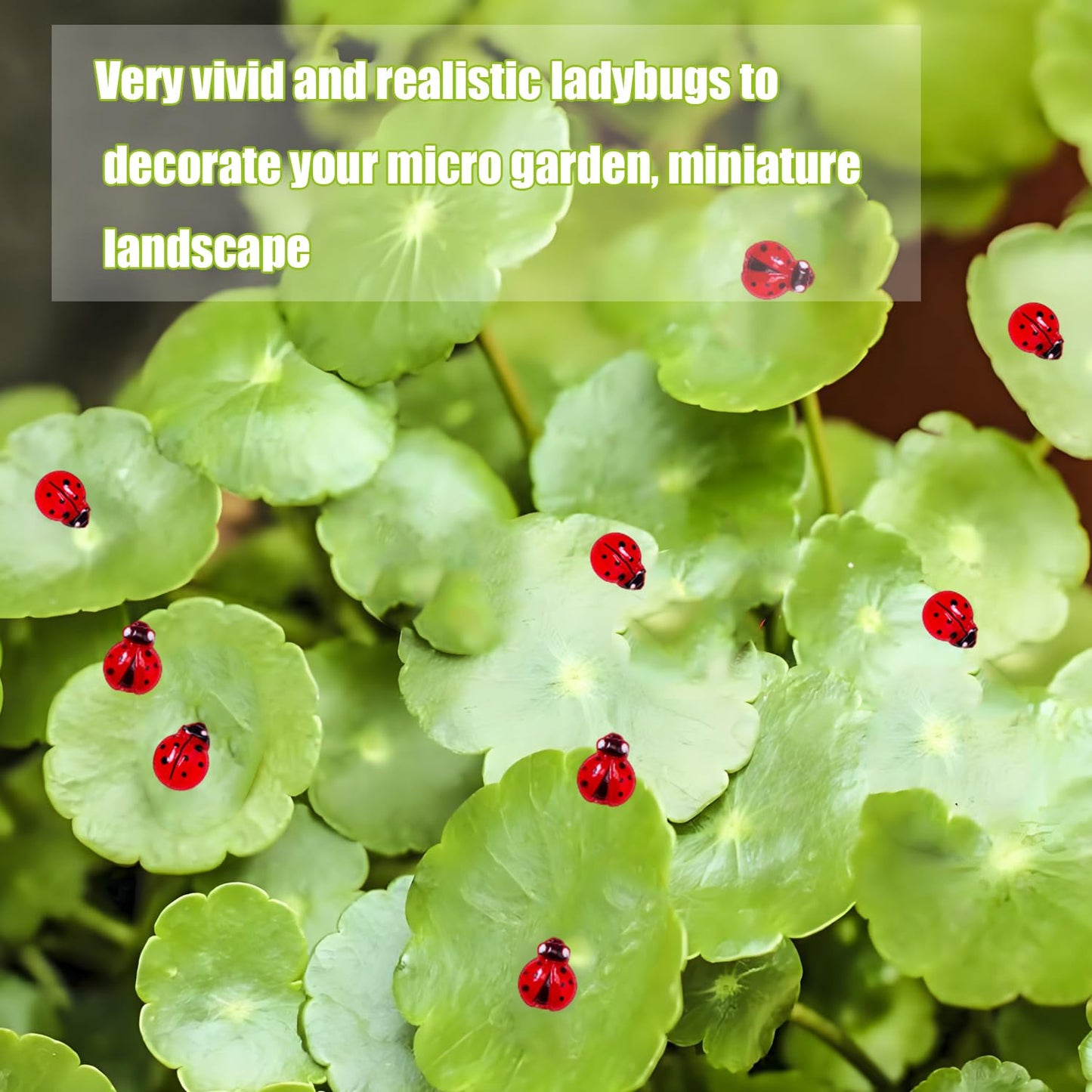 100Pcs Mini Ladybug Decor For Dollhouse Resin Tiny Ladybugs For Crafts Micro Miniature Ladybug For Fairy Garden Dollhouse Micro
