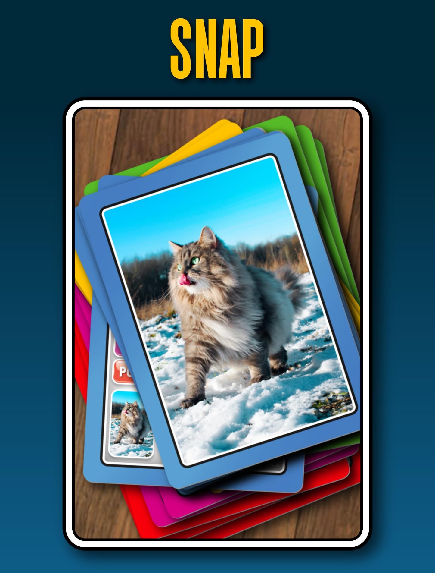 SMART CARDS Cats Card Games - Matching Pairs, Snap, Trumps, Rummy, Happy Families (8 Games To Play) | Age 5+, 1-8 Players | Fun