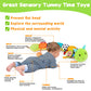 Baby Sensory Toy 0-6 Month Music Animal Stuffed Plush Caterpillar Toy For Infant 0-3-6 Month Tummy Time With Baby Mirror Crinkle