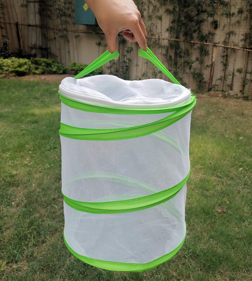 Trasfit Pop-Up Insect And Butterfly Habitat Cage Terrarium – 12 X 14 Inches Tall