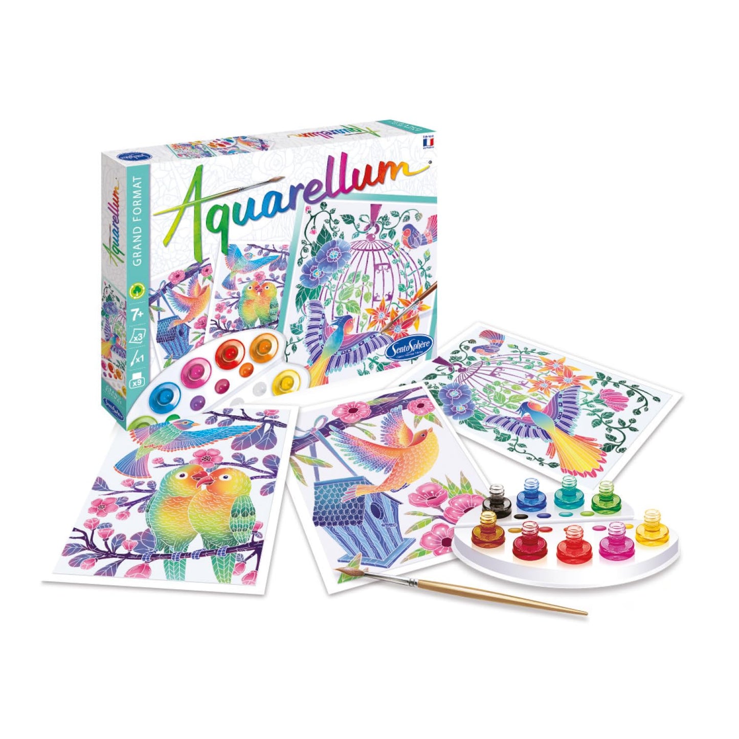 Sentosphère Aquarellum - Flying Birds Watercolor Painting Kit