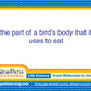 Newpath Learning Science Vocabulary Builder Flash Card Set, Grades 1-2