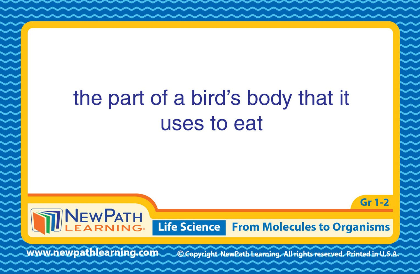 Newpath Learning Science Vocabulary Builder Flash Card Set, Grades 1-2