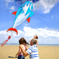 Hengda Kite 3D Dolphins Kite,For Kids And Adults,Easy To Fly,Excellent Fabric And Structure Design,The Pictures Are Beautiful In