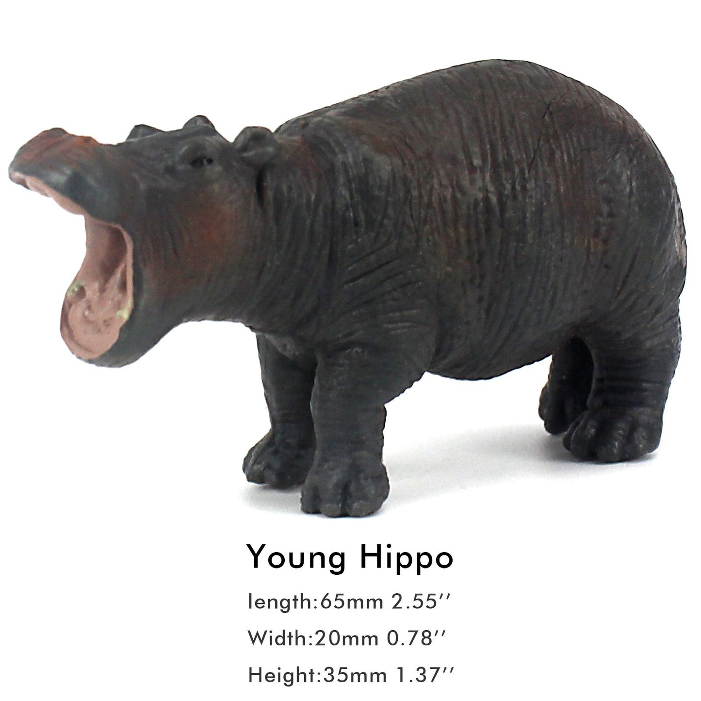 Funshowcase African Jungle Animals Toy Hippos Hippopotamus Figure Realistic Plastic Figurine Playset Lot 4-Piece