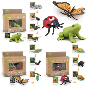 Montessori Life Cycle Learning & Education Toys - Plastic Insect Ladybug, Monarch Butterfly, And Tadpole-To-Frog Kit For Kids, P