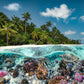 Ravensburger 2000 Piece Jigsaw Puzzle - A Dive in The Maldives - Multicolor, 38.5 x 29.5 inches, Premium Quality Cardboard