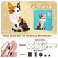 Qlt Qiaoletong Cat Mini Building Blocks Cute Animals Sets For Goodie Bags, 1300 Pcs Micro Mini Building Toy Diy 3D Bricks Kit For Adults, Party Favors For Kids, Birthday Gift For Boys Girls