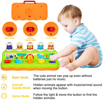 Duchong Interactive Pop Up Toys For 1 Year Old Boy Girl, Montessori Cause And Effect Toys With Music & Light, Early Learning Mus