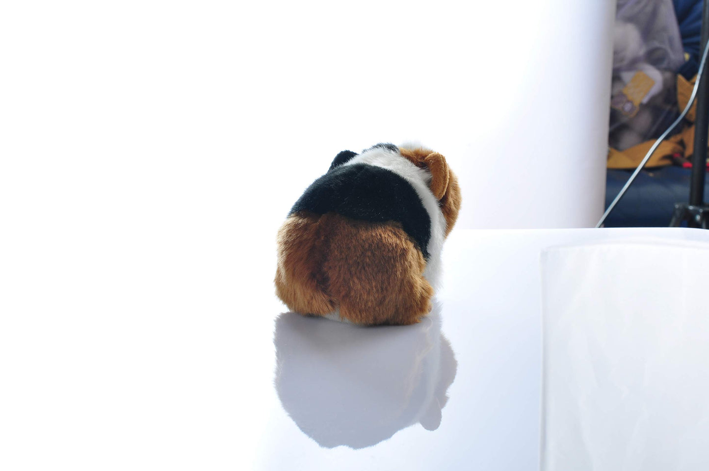 Cute Rabbit 8 Inch Guinea Pig Plush Toy Stuffed Animal Toy Plush Animal Doll (Black)