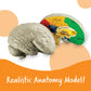 Learning Resources Cross-Section Brain Model - 2 Pieces, Ages 7+ Brain Anatomy Model, Brain Functions Model, Human Anatomy For Kids, Foam Brain Model,Back To School Supplies
