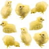 8 Pcs Realistic Easter Chicks Simulated Fluffy Chicken Yellow Chicken Figurines For Easter Egg Fillers Easter Party Favors, 4 St