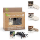 Montessori Life Cycle Animal Figures With Flash Cards, Realistic Animal Figurines Toy, Animal Educational Matching Game For 3+ Year Old Toddlers Kids (Ant)