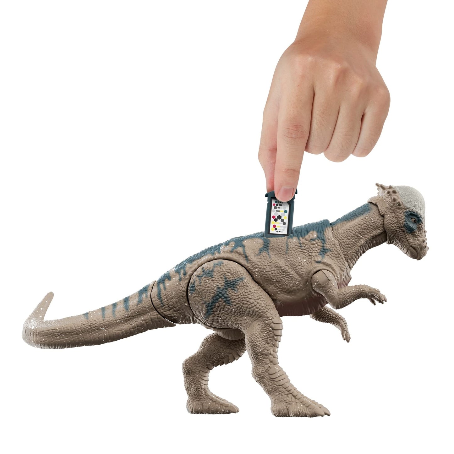 Jurassic World Toy - Multicoloured Plastic Action Figure (Model HFF13)