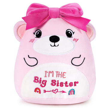 Inisajace Big Sister Stuffed Animal - 9 Inches Cute Pink Bear Stuffed Animals Big Sister Gifts For Girls Im The Big Sister    Be