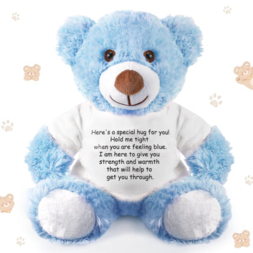 Lenwen A Bear Hug Gift Get Well Soon Bear Gift Sympathy Gift For Women Plush Stuffed Animal Bear Hug Thinking Of You Gift Condolences Memorial Loved(Blue)