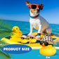 Chivao 12 Pcs Mini Rubber Ducks With Sunglasses/ Glasses And Hats/ Necklace, Cruise Rubber Ducks In Bulk Valentine Gift Small Ba