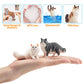 EYSCOTA 12PCS Realistic Cat Figurines, Plastic Cat Figure Set, Model X-DMAO02-BUOU01, Perfect for Kids' Birthday and Christmas Gifts